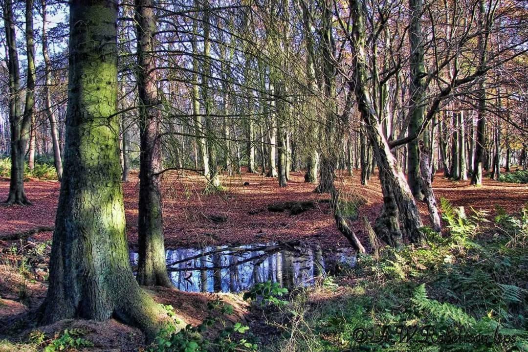 Churchview Townhill Buitenkant foto